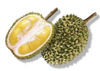 durian-fruit.jpg